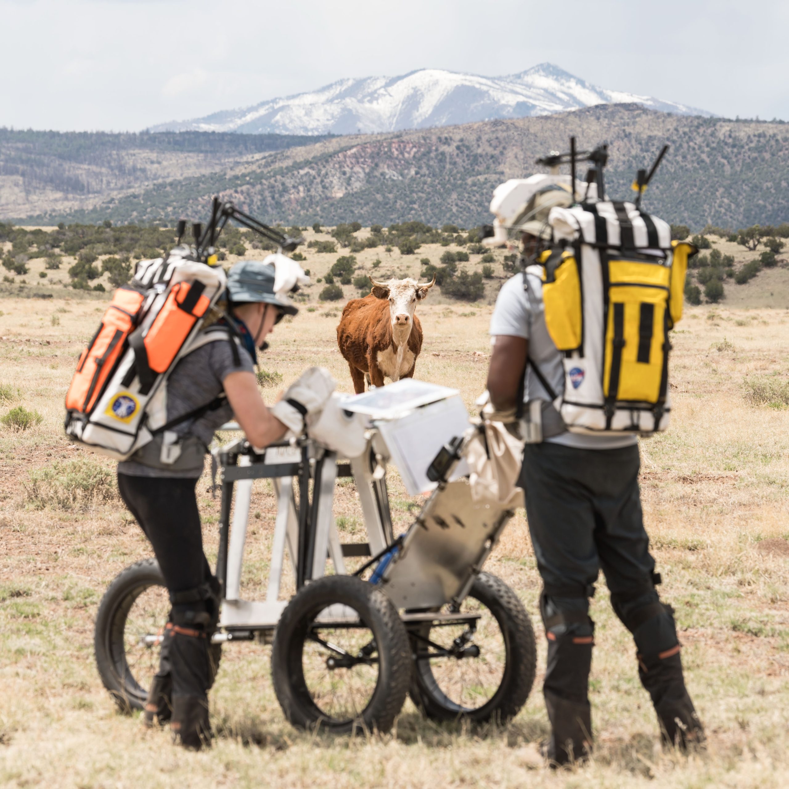 Training for the Moo(n) – NASA