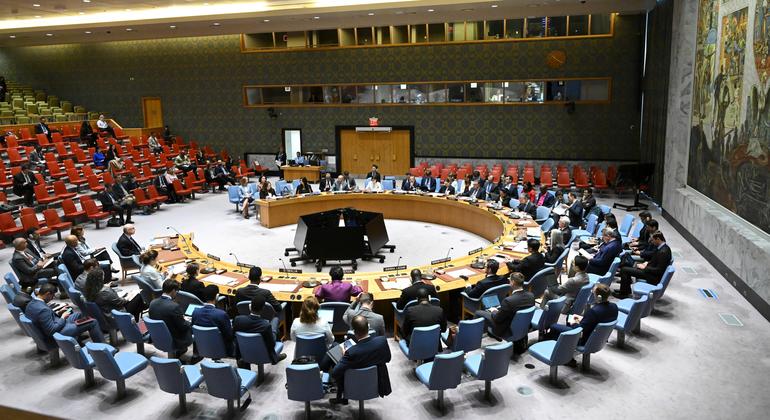 SECURITY COUNCIL LIVE: Haiti ‘shamefully overlooked’, warns Guterres