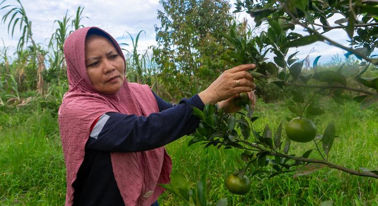 Local leadership powers Indonesia’s climate ambitions