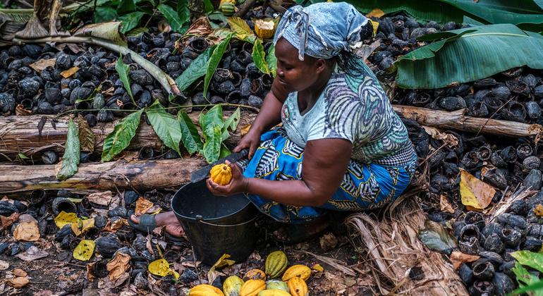 $31 trillion debt is holding back developing countries, UN trade summit hears