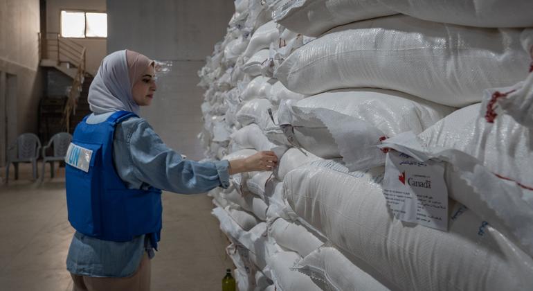 Desperate need for water and food continues as Gaza families head north