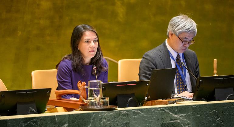 Security Council’s veto power is ‘poster child’ of global gridlock, says Baerbock