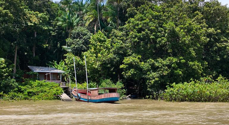 On Brazil’s Combu Island, chocolate makers hold clues to climate action
