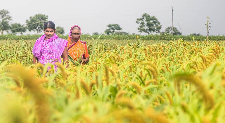 From organic farms to AI chips with a nose: UN summit showcases solutions for transforming the Global South