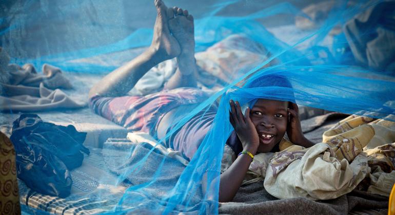Malaria: Drug resistance and underfunding threaten progress towards eliminating killer disease