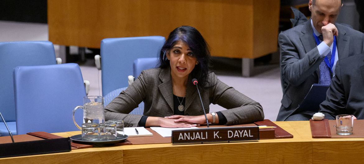 Professor Anjali Dayal of international relations at Fordham University’s Lincoln Center campus, addresses the  Security Council meeting on maintenance of international peace and security.