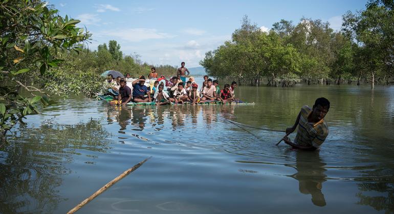 Myanmar’s Rohingya people called ‘Muslim dogs’ before attacks, ICJ hears