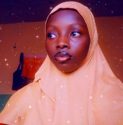 Adeleke Ajimoh - Wikinews, the free news source