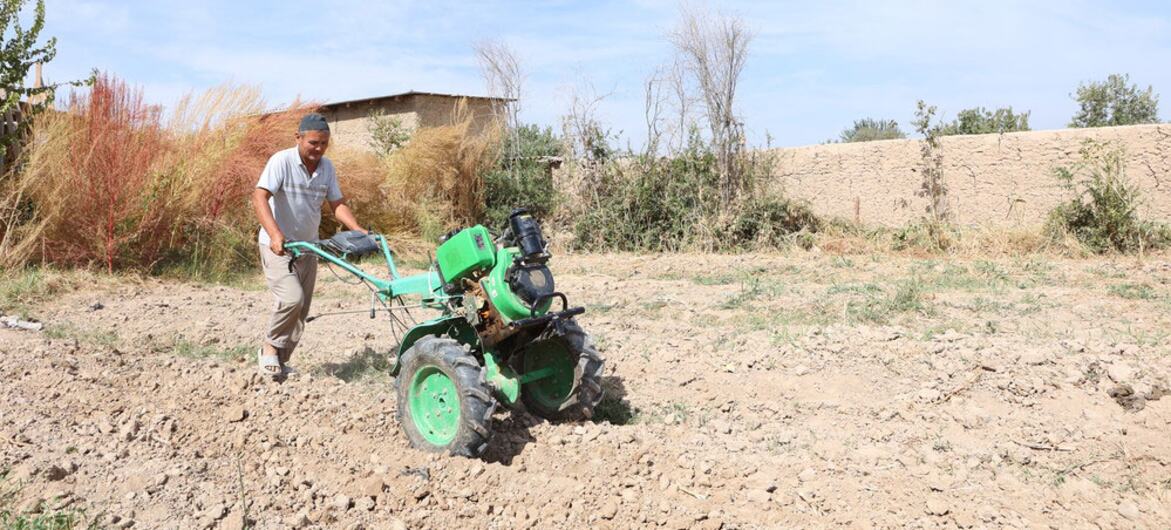 A man operating a green motorized tiller in a dry, tilled field under a blue sky.