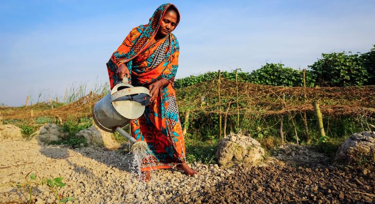 ‘Clock is ticking’: Hormuz disruption raises fears of global food crisis