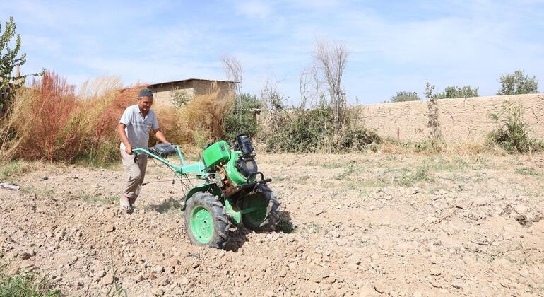 Extreme heat pushing global food systems to the brink, UN agencies warn