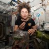 NASA astronaut Jessica Meir dines on fresh Mizuna mustard greens she harvested earlier that day aboard the International Space Station.