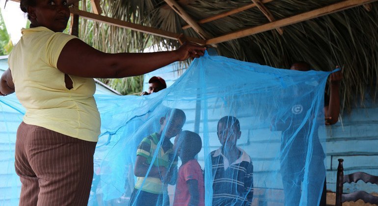 Malaria vaccine is saving children’s lives: WHO