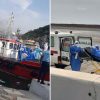 WHO chief heads to Tenerife to oversee Sunday arrival of hantavirus-hit ship