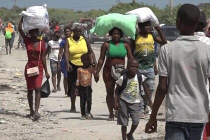 Haiti: UN rights office welcomes new judicial units to tackle gang violence and impunity