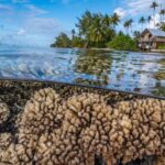 Humanity’s future depends on protecting the rapidly changing ocean