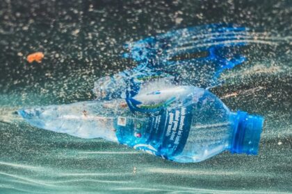 Five things you need to know about ocean plastics
