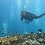 ‘The ocean has no boundaries’: Beauty and life in a war zone