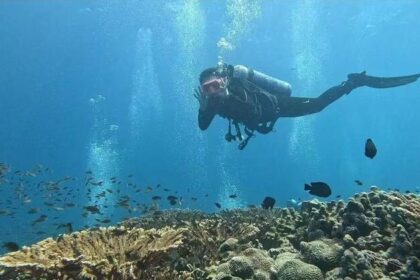‘The ocean has no boundaries’: Beauty and life in a war zone