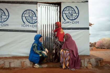 Safe pathways key to reducing risk for migrants