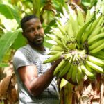 Shockwaves of Middle East war reach Caribbean as food prices soar