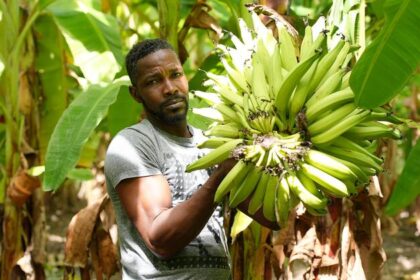 Shockwaves of Middle East war reach Caribbean as food prices soar
