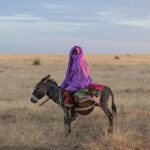 Over a billion fear losing land and homes within five years