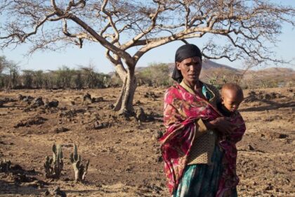 El Niño confirmed, set to fuel more extreme weather, says WMO