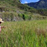 UN forum calls for overhaul of agrifood systems
