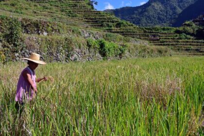 UN forum calls for overhaul of agrifood systems
