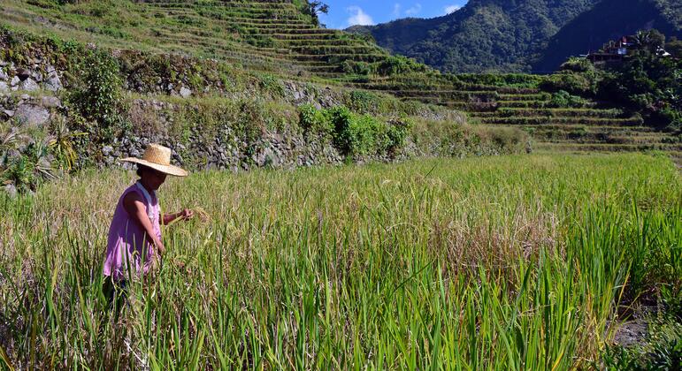 UN forum calls for overhaul of agrifood systems