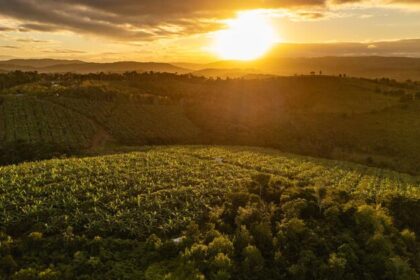 Welcome to the ‘agrihood’ – the neighbourhood of the future?