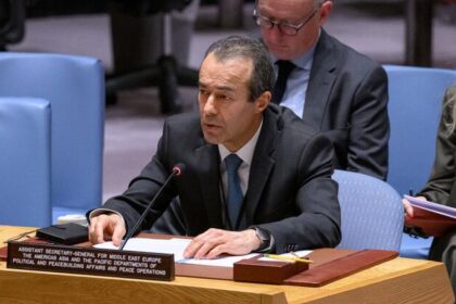 European Union support for the UN ‘more vital than ever’, Security Council hears