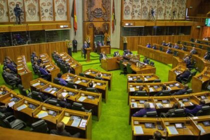 Political violence against MPs rising worldwide